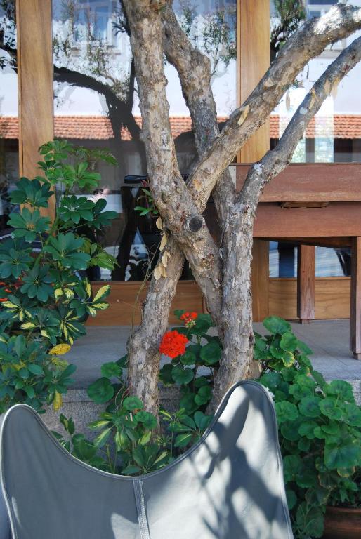 Quinta De Tourais Hotel Lamego Exterior photo