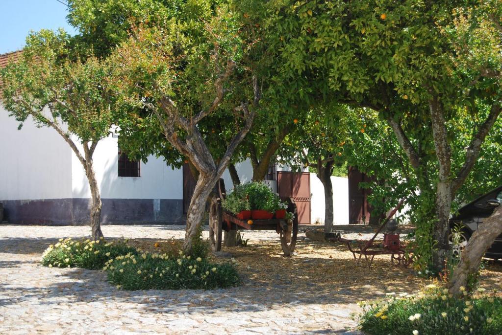 Quinta De Tourais Hotel Lamego Exterior photo