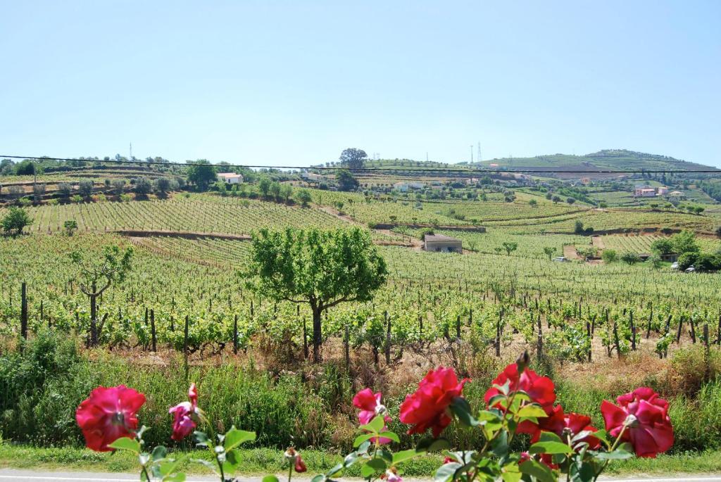 Quinta De Tourais Hotel Lamego Exterior photo