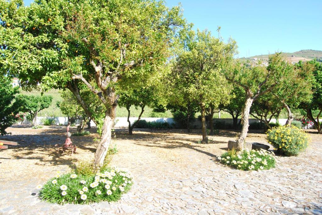 Quinta De Tourais Hotel Lamego Exterior photo
